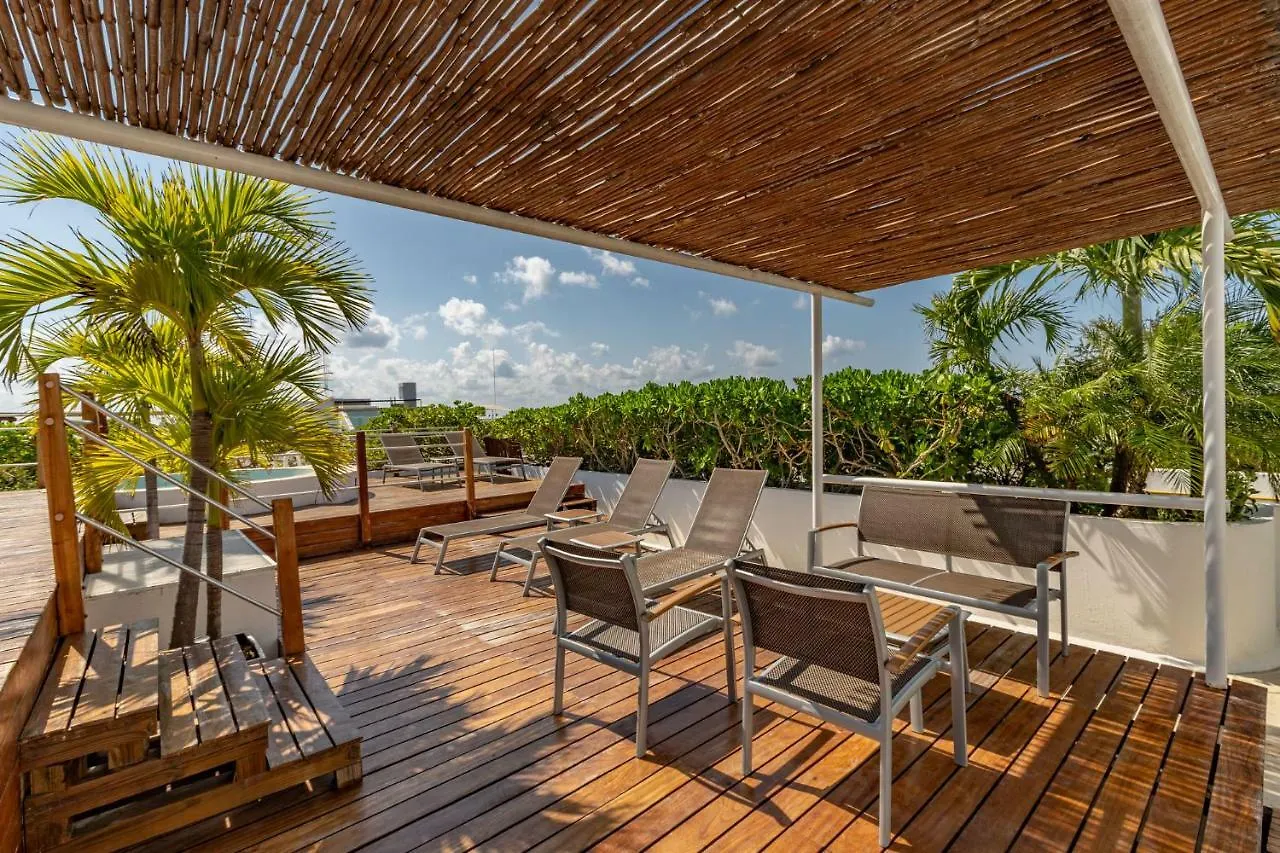 Papaya Plus Playa del Carmen México