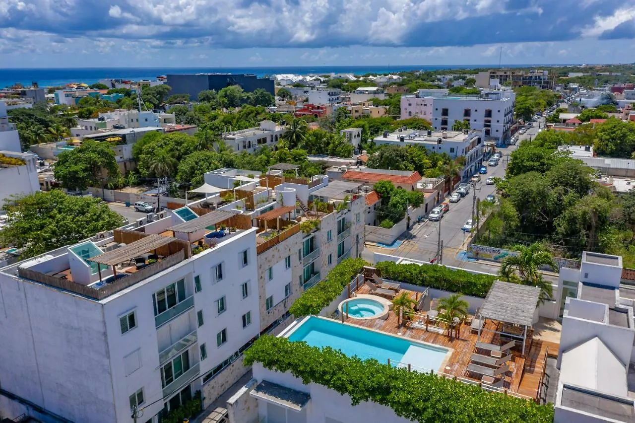 Papaya Plus Playa del Carmen México